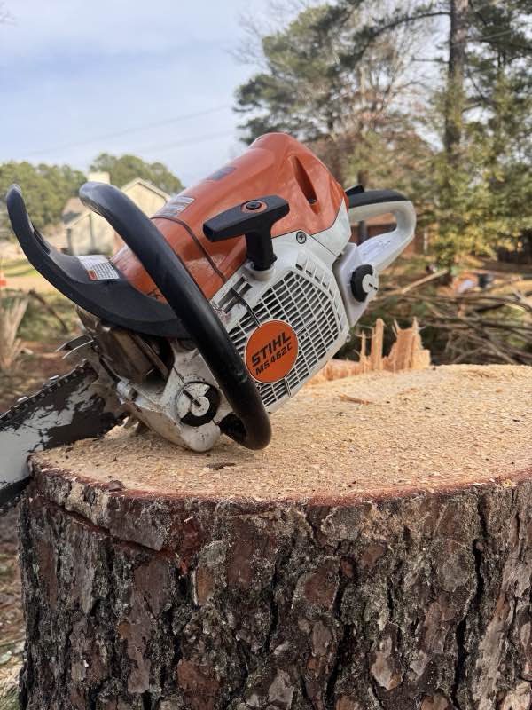 Apex Tree Works tree service work photo