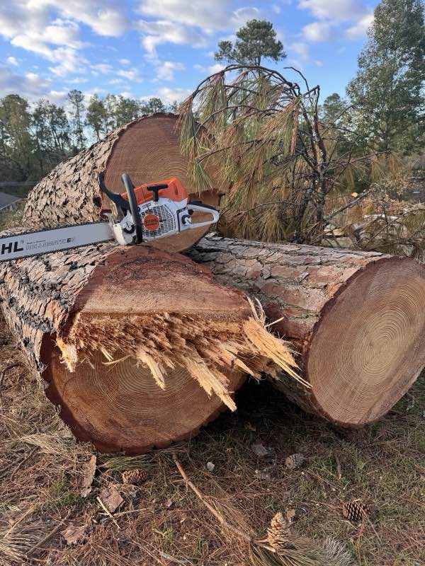 Apex Tree Works tree service work photo