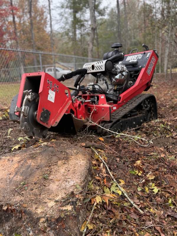 Apex Tree Works tree service work photo